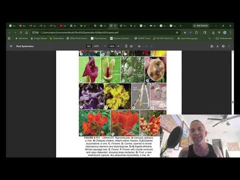 Plant Systematics: An Aggressive and Abusive Approach
