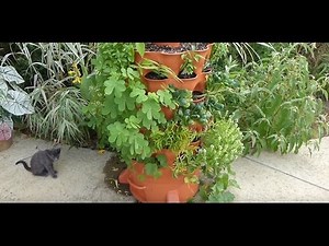 Update and FAQ on my Garden Tower 2 Review