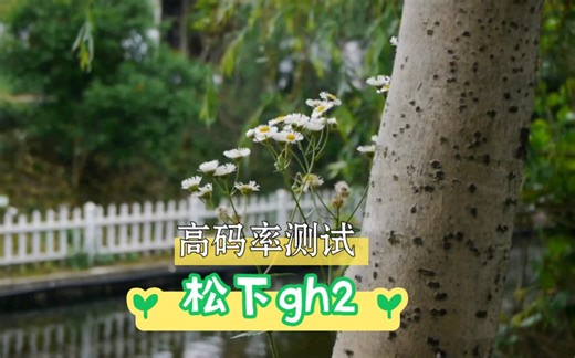 松下gh2高码率测试视频