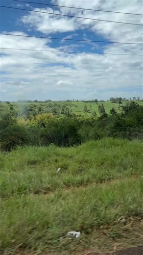 Little miss Joy (@lil_miss.joy)’s videos with original sound - Little miss Joy