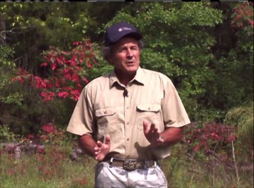 Discovering Alabama:White Tail Deer