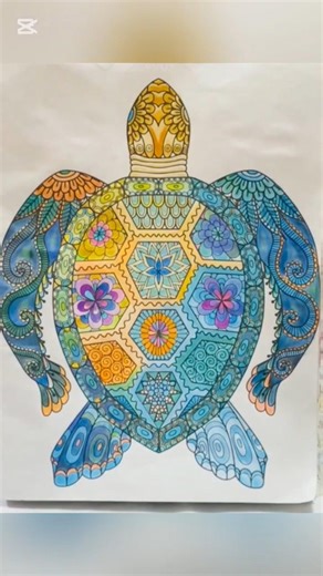 Colourful Turtle 🐢 #turtle #art #colourpencildrawing #drawing #artasmr #coloring #kalyani