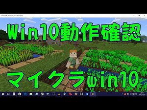 win10版マイクラwn10 betaテストプレイ