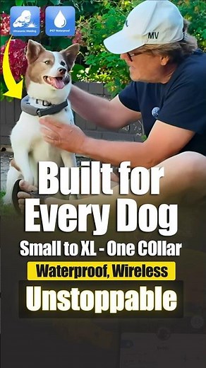 Halo Collar 5 Review — Rugged, Waterproof Dog Collar (From Chihuahua to Great Dane)