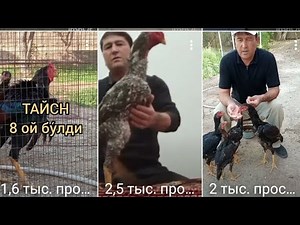 ВАКЦИНАЦИЯ ИШЛАРИ ФарходТВ в прямом эфире!