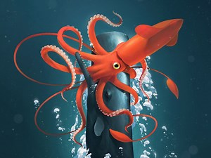 20  программ для UX/UI-дизайнера: аналитика, проектирование и прототипирование