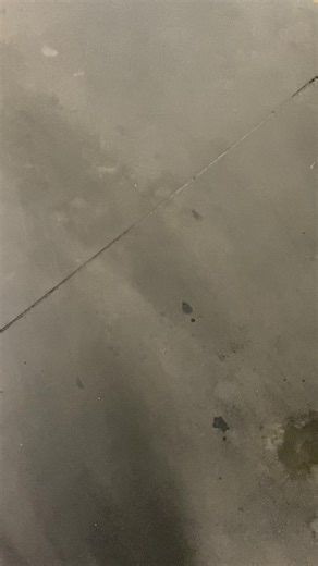 #monza #tubarao #fyp