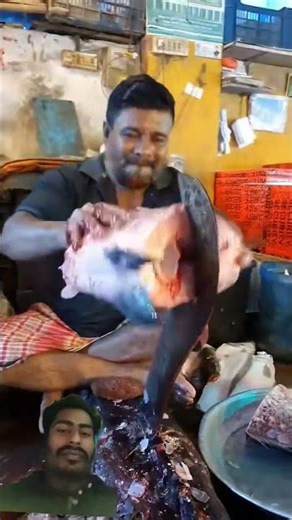 Big Catla Fish Cutting | Expert Filleting & Slicing Skills