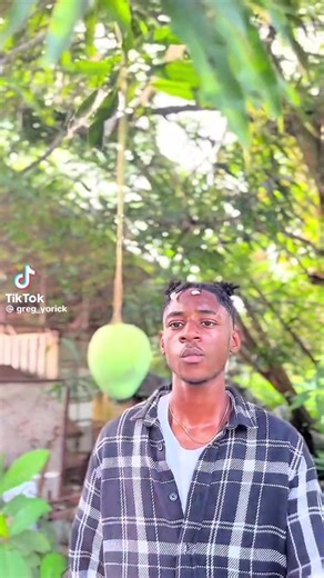 Vidéos de l’assurance total (@lassurance.total0) avec son original - l’assurance total