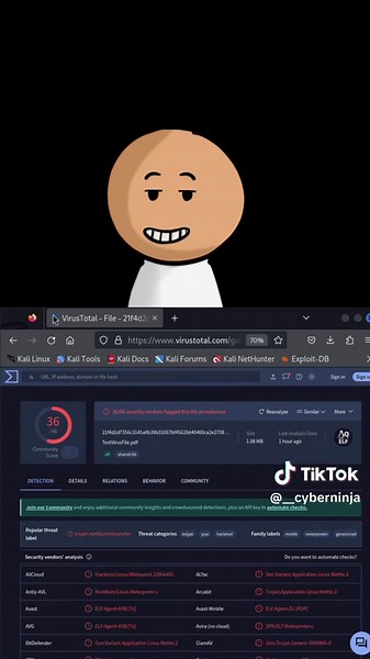 Malicious File Analysis: How to Check for Viruses