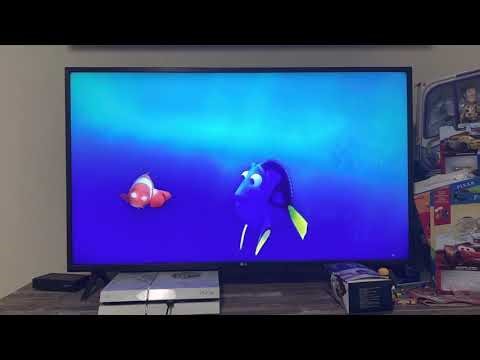 Marlin and Dory off ramp