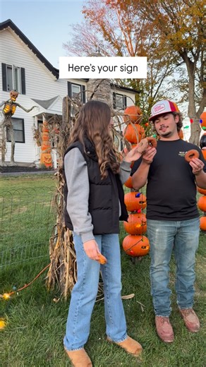Fair warning: extreme fall vibes can be found at Will’s Cackleberry Castle Pumpkin Farm 🎃 Packed with all the pumpkin patch fun, take your pick from pumpkins, hayrides, a corn maze, farm animals, seasonal treats, live music nights & so much more. Here’s the details 👇 Will’s Cackleberry Castle Pumpkin Farm🎃 📍1175 Hillsboro Rd, Camden, NY 📆 Open Thursday - Monday #VisitOneidaCounty #OneidaCounty #OCNewYork #UpstateNY #VisitCNY #ispyny #iloveny | All In Oneida County
