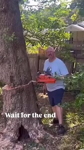 1.6K reactions · 17 shares | Think DIY tree work will save you money?...