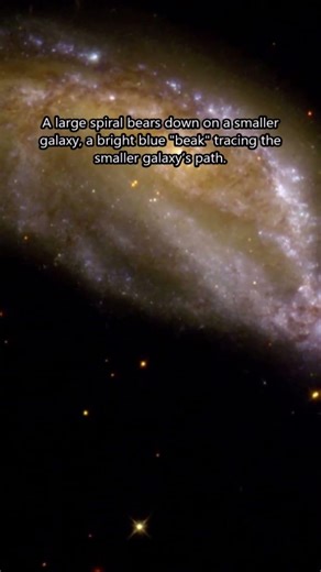 Bird Head Galaxy NGC 6745 🐦🌌 #galaxies