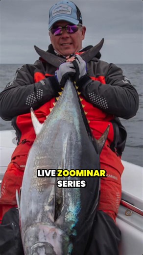 Exciting update on our off-season Zoominar series! 🎣⁠ ⁠ Captain Phil Howarth from Goose Hummock Shop is officially on board as our first speaker! Mark your calendars for February 4th, 7-9 PM, when Captain Phil shares his knowledge on tuna fishing.⁠ ⁠ This is your chance to learn directly from Phil, get your burning questions answered in real-time, and connect with fellow tuna enthusiasts—all without leaving your house.⁠ ⁠ More speakers joining soon. This off-season just got a whole lot more int