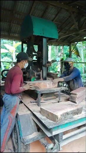 Old Sapodilla Tree Slab Cutting Process! #woodworking#chainsaw#treecutting
