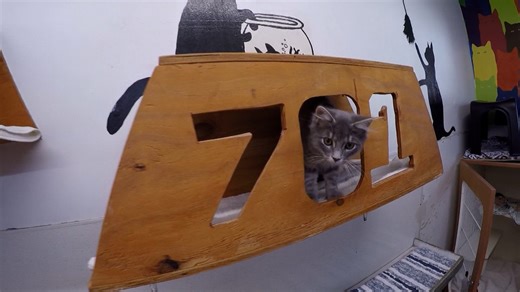 Many humane societies in Ohio stretched to capacity