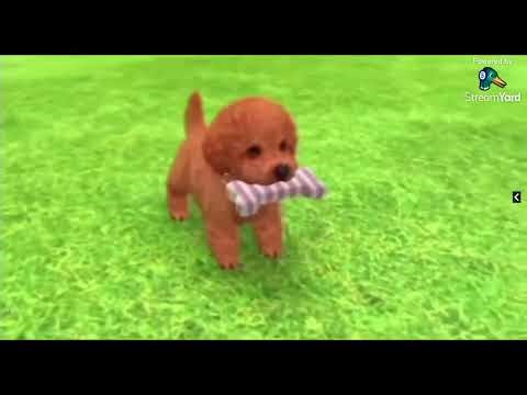 DOUBLE MOVIE REACTION + DVD Openings (Friday Stream)