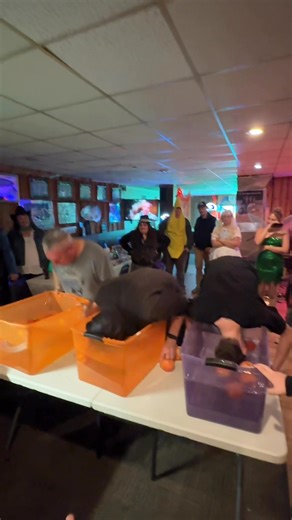 3.4K views · 18 reactions | Bobbin’ for apples, group 3, Will had a mission!!! | Rapid River Pub | Facebook