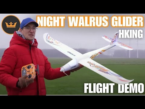 FLIGHT DEMO | Lighting Up the Skies with the Night Walrus!