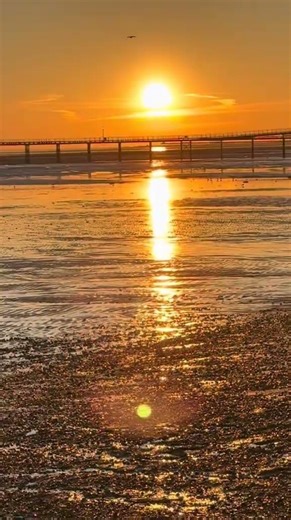 #Transition #cinematicvideo #lethimcook #chef0020 #part2 #Shorts #chefercan2