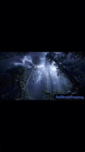 Sacred Forest Rain | Deep Sleep, Relaxation #432hz