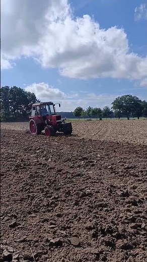 Belarus MTS 550 mit turbo Tuning am pflügen Teil 2 #2025 #farming #belarusmtz50 #agriculture