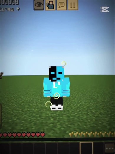 Minecraft effect commands