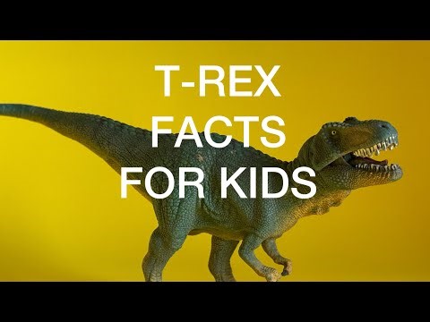 10 Amazing Facts About T. rex You Never Knew! | Tyrannosaurus Rex Facts for Kids 🦖
