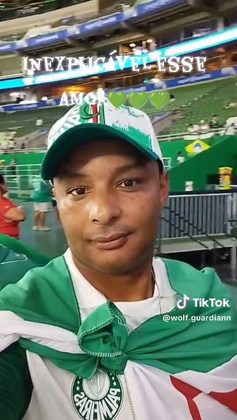 Allianz Parque: A Melhor Arena do Brasil