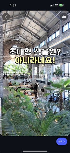 도심 속 힐링, 식물원 컨셉의 트리브링 카페