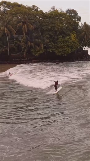 Surf Sri Lanka on Instagram: ". Island surf vibes with Longboard Academy 🌴🌊 Every day we’re out here taking longboard lessons, learning new tricks, laughing at our falls, and cheering for the wins. It’s all about movement, sunshine, salty air, and having the best time ever with the best people. Sri Lanka, you feel like home already #LongboardAcademy #IslandSurf #Weligama #SriLanka #SurfSkate #Longboarding #LongboardLife #SurfVibes #IslandLife #TropicalVibes #SriLankaTravel #WeligamaBeach #Skat