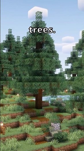 Build A Minecraft World You'll Never Leave