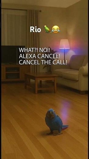 A chaotic parrot using Alexa at night 😂🦜 #parrot #funny #alexa #pets