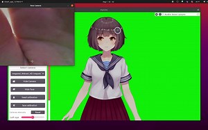 在Linux系统下使用Prprlive进行虚拟up主面捕