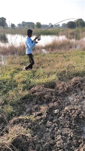 Snakehead Fish Catching Rod & Frog 🐸 #fishing #shorts #trending