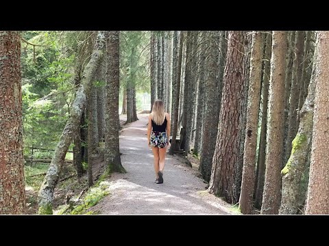 La forêt noire | ALLEMAGNE | Voyage d'un jour