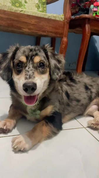 Isabel’s POV on TikTok