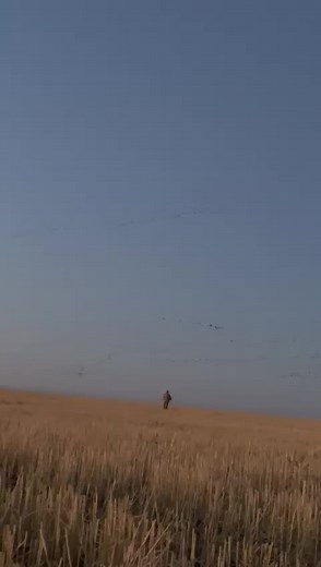 vip_goose_hunting_kazakhstan on TikTok