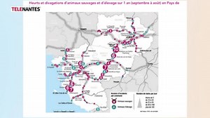 Quels projets en 2024 pour la SNCF en Bretagne-Pays de la Loire