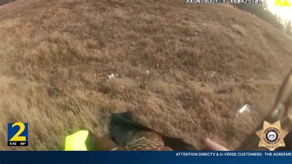 4.9K views · 93 reactions | Owl crashes into car, blocking busy Forsyth County road, before deputy saves it >>> https://bit.ly/49bcE6q | WSB-TV | Facebook