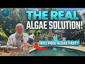 How to Actually Fix Your Algae Problem (Effective Algaecide Solutions)