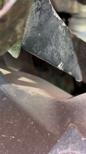 Dancing the Truck to Reveal All the Hidden Suspension Problems