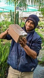 🌿STEP by STEP: How to use COCO COIR blocks You won't believe how much soil medium a single block will give you! Before use, a compressed coco coir block must be first hydrated. 🍁Step 1: Remove block from its wrapper 🍁Step 2: Place in large container (like bucket) 🍁Step 3: Add water. The compressed block will start to expand. Let it sit in water for about 10min. to absorb all water & start to break down. 🍁Step 4: Use your hands to break up (fluff) remaining coco coir clumps to allow moisture