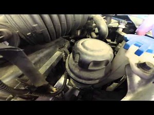 Check Your Power Steering Fluid