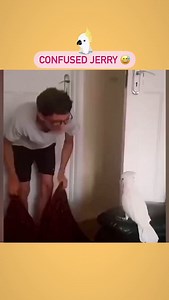 Jerry to talking Bird 🤣 #magic #cockatoo #prank #talking #animal #humour #humor #laughs #jokes #funny #comedy #bird | The Humorous Clip