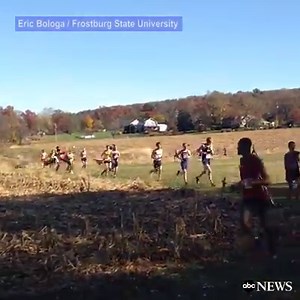 1M views · 12K reactions | Herd of deer run out during a college cross-country race in Pennsylvania, taking out a runner in the process. abcn.ws/2f4G1f9 | ABC News | Facebook