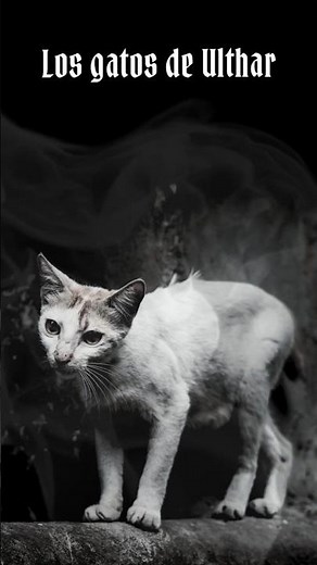Los Gatos de Ulthar | El pueblo donde nadie volvió a dañar a un gato 🐈🌙#lovecraft #relatos