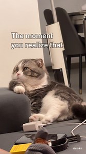 Do you feel a sudden realization that "you exist"? | 9GAG Aww