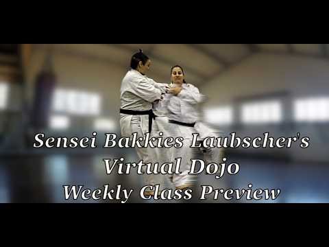 Bakkies Laubscher’s Virtual Dojo 2026 Week 12 Class